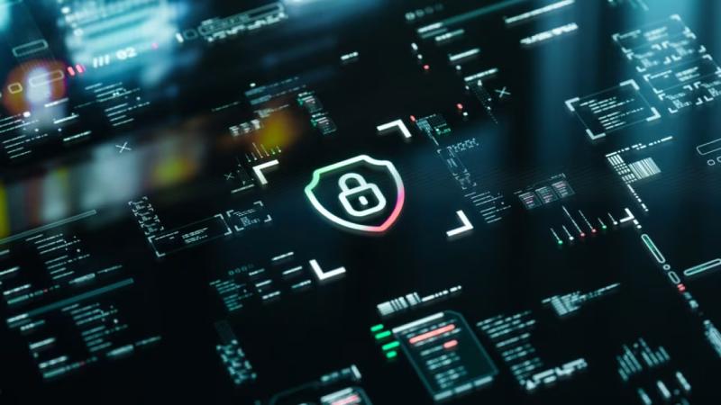 隆林县软件开发公司